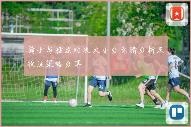 骑士与猛龙对决大小分竞猜分析及投注策略分享