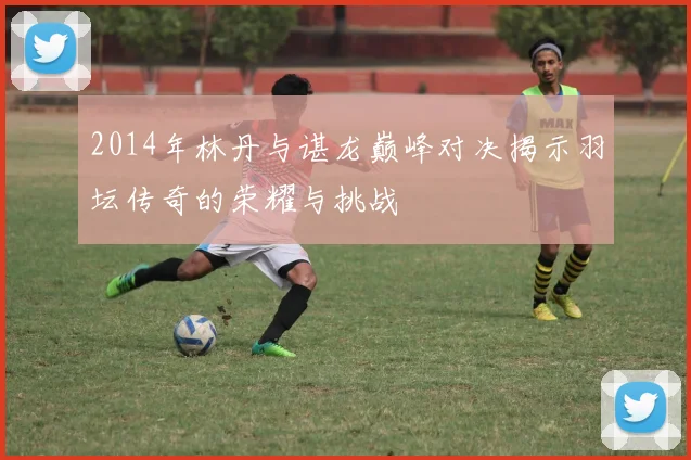 2014年林丹与谌龙巅峰对决揭示羽坛传奇的荣耀与挑战