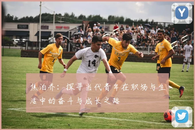 焦泊乔：探寻当代青年在职场与生活中的奋斗与成长之路