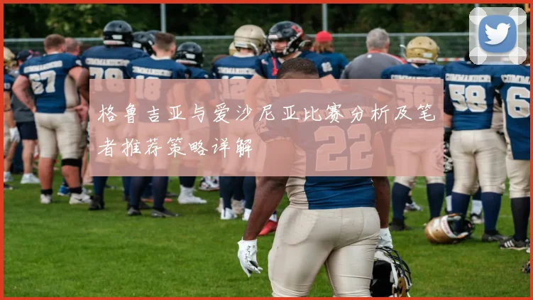 格鲁吉亚与爱沙尼亚比赛分析及笔者推荐策略详解