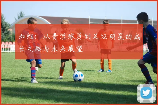 加维：从青涩球员到足坛明星的成长之路与未来展望