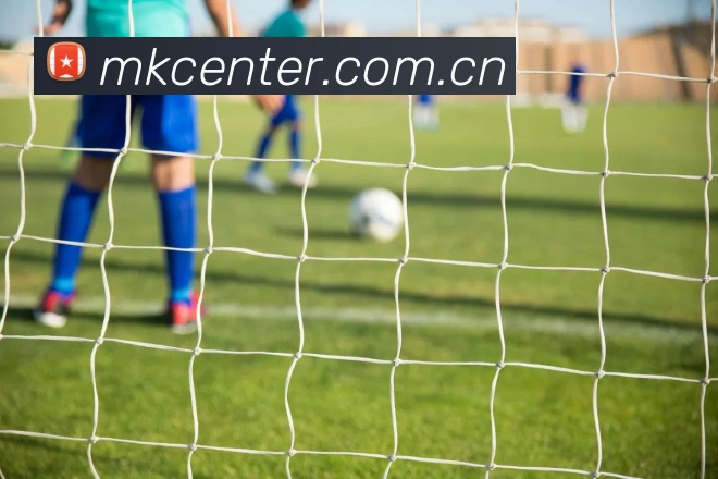 MK体育服务体系